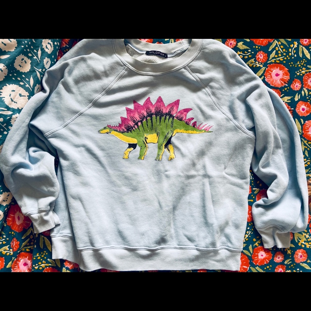 Wildfox dinosaur sweatshirt